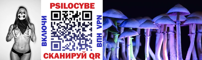 Галлюциногенные грибы Cubensis  где купить наркоту  Ленск 